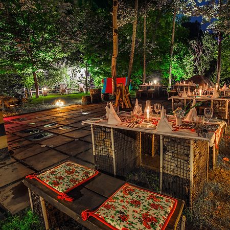 Solang Valley Resort Palchān Exteriér fotografie