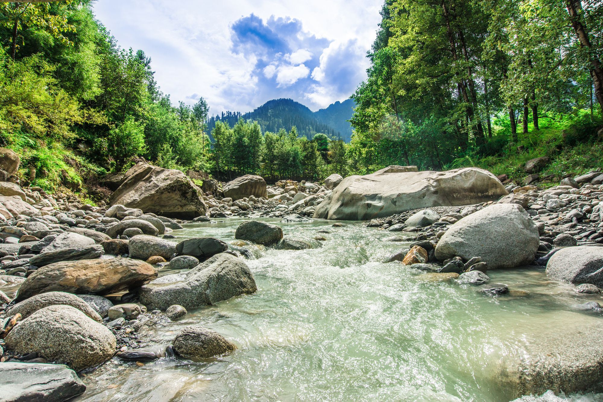 Solang Valley Resort Palchān Exteriér fotografie