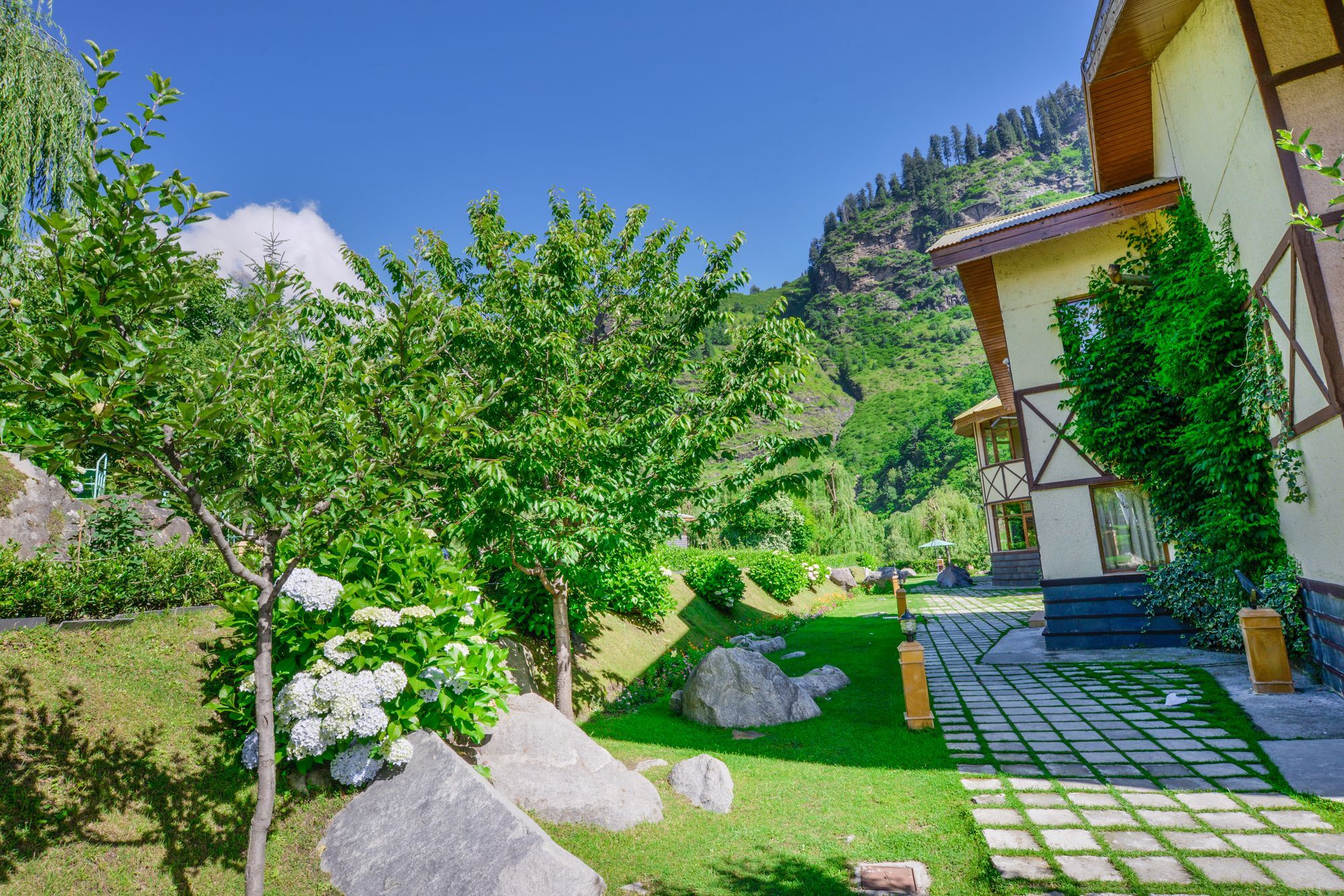 Solang Valley Resort Palchān Exteriér fotografie